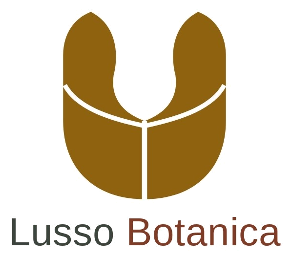 Lusso Botanica